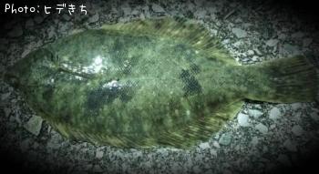 ¥Þ¥³¥¬¥ì¥¤