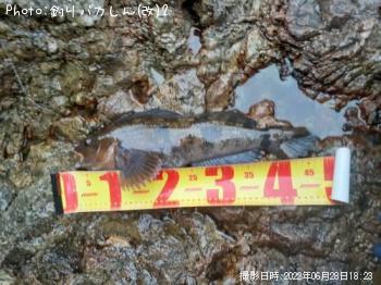 �����ʥ�