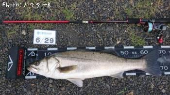 �����Х�