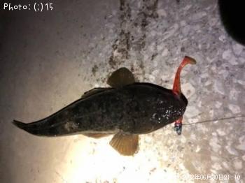 �ޥ��������ӥ졢���ʥ�