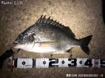 �ޥ��������ӥ졢���ʥ�