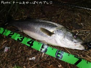 �����Х�