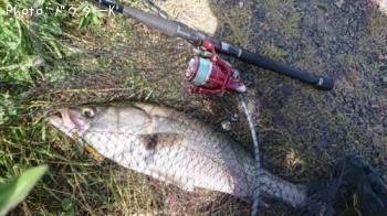 �����Х�