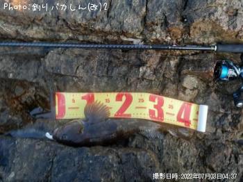 �����ʥ�