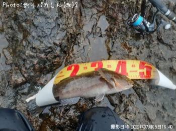 �����ʥ�