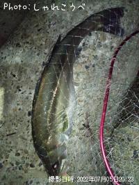 �����Х�