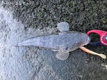 �ޥ���