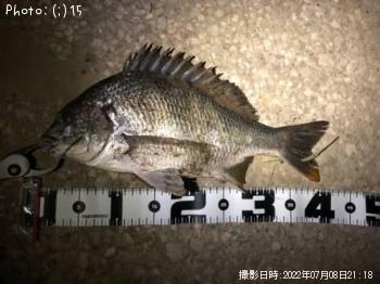 ¥¥Ó¥ì¡¢¥Þ¥´¥Á