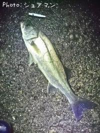 �����Х�