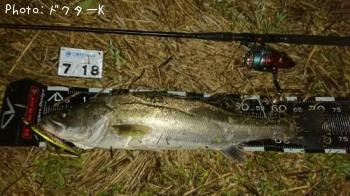 �����Х�