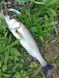 �����Х�