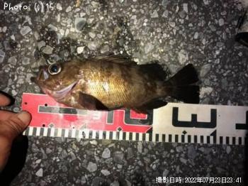 ��Х롢���������������������᥸��