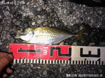 ��Х롢���������������������᥸��