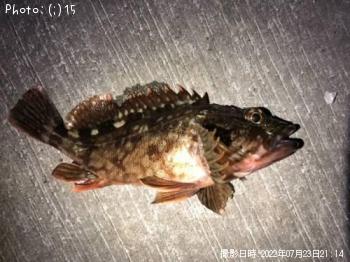 ��Х롢���������������������᥸��