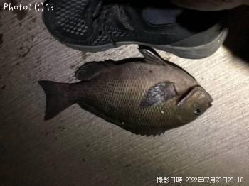 ��Х롢���������������������᥸��