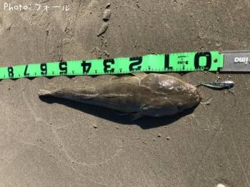 �ޥ�����