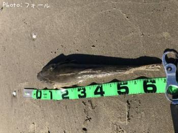 �ޥ�����