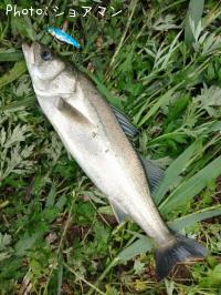 �����Х�