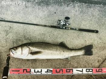 �����Х�