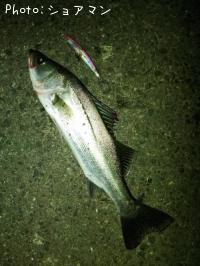 �����Х�