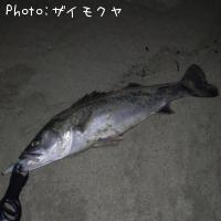 �����Х�