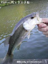 ¥Ö¥é¥Ã¥¯¥Ð¥¹