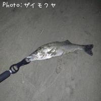 �����Х�