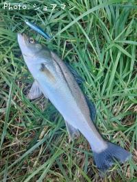 �����Х�