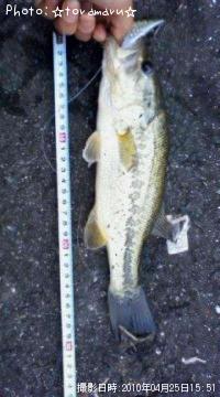 ¥Ö¥é¥Ã¥¯¥Ð¥¹