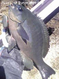 ¸ýÂÀ¥á¥¸¥Ê