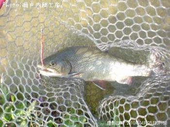 ¥Ö¥ë¥Ã¥¯¥È¥é¥¦¥È