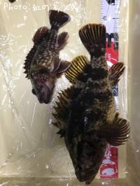 ¥¿¥±¥Î¥³¥á¥Ð¥ë