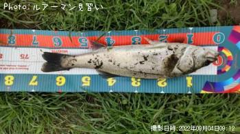 �����Х�