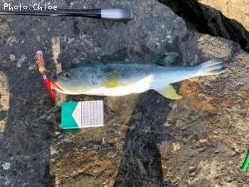 ���ޤդ���