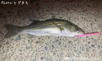 �����Х�