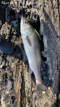 �����Х�