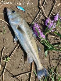 �����Х�