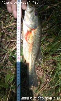 �֥�å��Х�