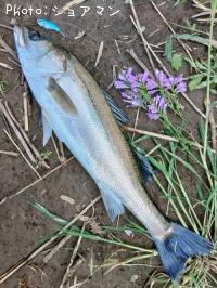 �����Х�