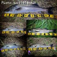 �����Х�