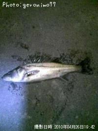 �����Х�