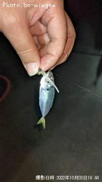 ¥¢¥¸