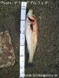 �����Х�