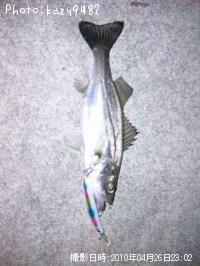 �����Х�