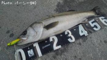 �����Х�