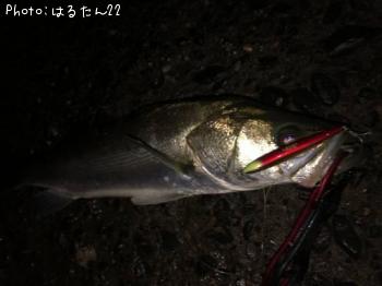 �����Х�