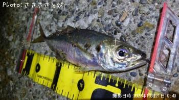 �����Х�������