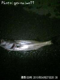 �����Х�