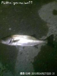 �����Х�