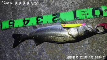 �����Х�